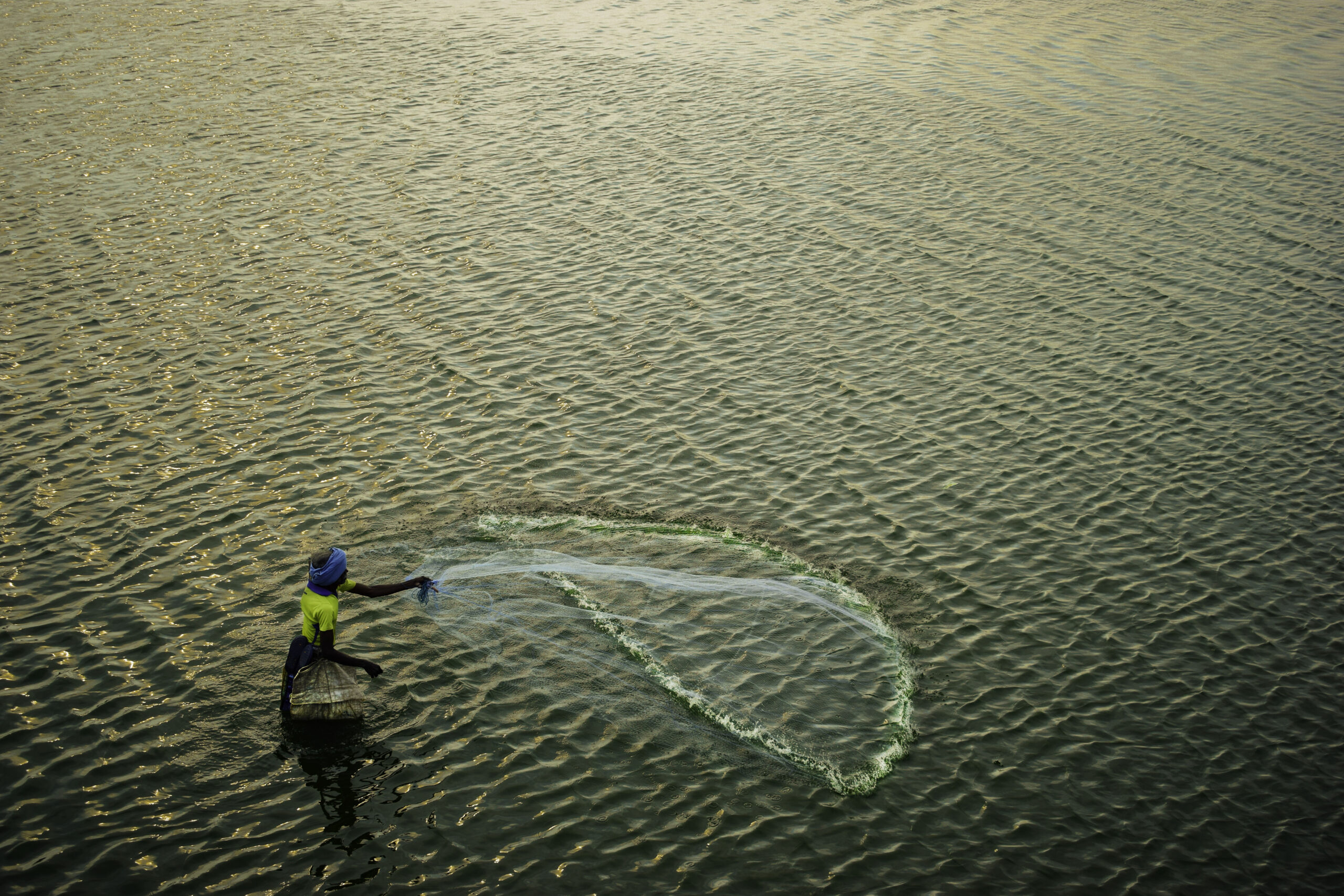 fish 2